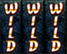 3wilds