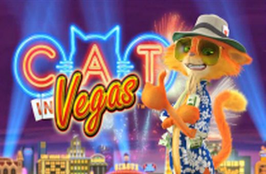 Slot Cat in Vegas